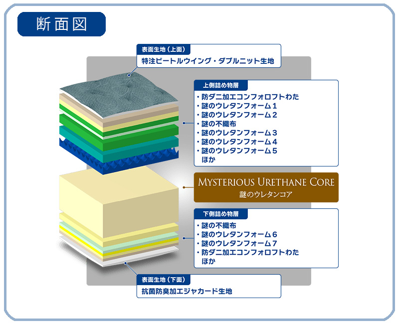 ネオボルネオ断面図